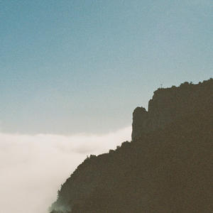 德国dsm打针女人奶上
